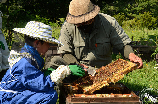 日本楓紅由北海道開始「展開」 邀您來探索富良野秋季旅遊魅力 - 旅遊經