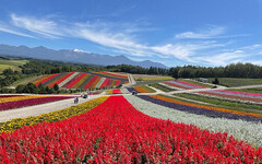 日本楓紅由北海道開始「展開」 邀您來探索富良野秋季旅遊魅力 - 旅遊經