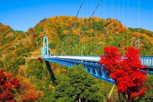 龍神峽紅葉祭 峽谷、 紅葉與橋樑交織的絕景 - 太陽網