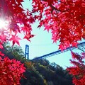 龍神峽紅葉祭 峽谷、 紅葉與橋樑交織的絕景 - 太陽網