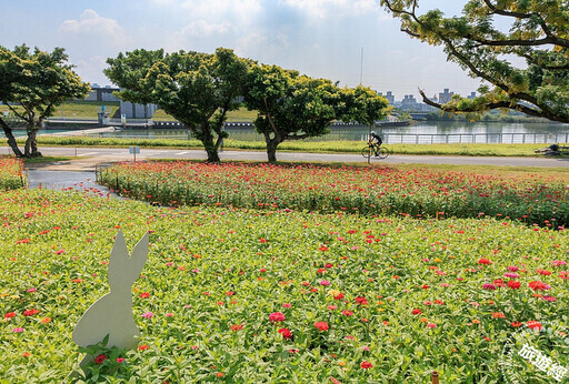 秋冬河濱花海開始「綻」美 河雙21號河濱公園花海打先鋒 - 旅遊經