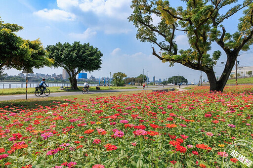 秋冬河濱花海開始「綻」美 河雙21號河濱公園花海打先鋒 - 旅遊經