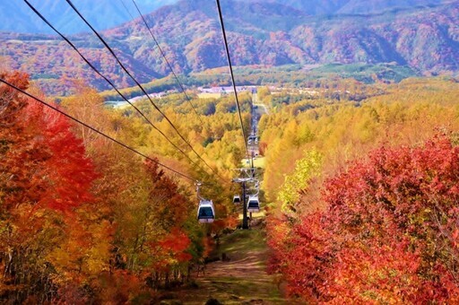 搭乘獵人山紅葉纜車 從空中賞楓 - 太陽網