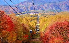 搭乘獵人山紅葉纜車 從空中賞楓 - 太陽網