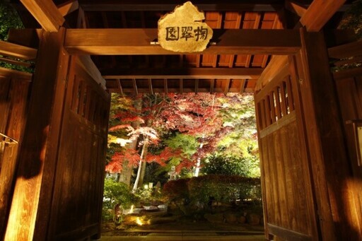 栃木縣秋季夜間點燈 輪王寺逍遙園、掬翠園紅葉點燈 - 太陽網