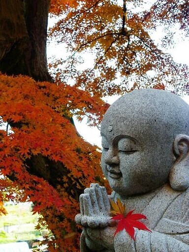 茨城縣大子町的紅葉寺 永源寺 - 太陽網