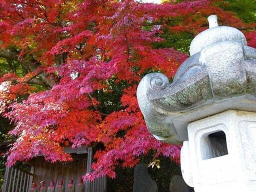 茨城縣大子町的紅葉寺 永源寺 - 太陽網