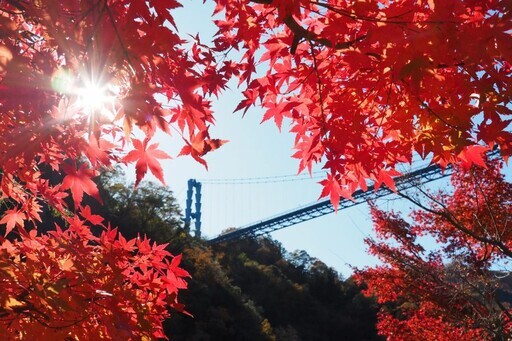 龍神峽紅葉祭盛大舉辦 - 太陽網