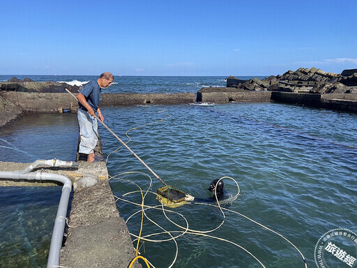 【認識鮑魚】 貢寮鮑進入最佳收獲期 養殖故事大公開，一起來吃牠、認識牠！ - 旅遊經