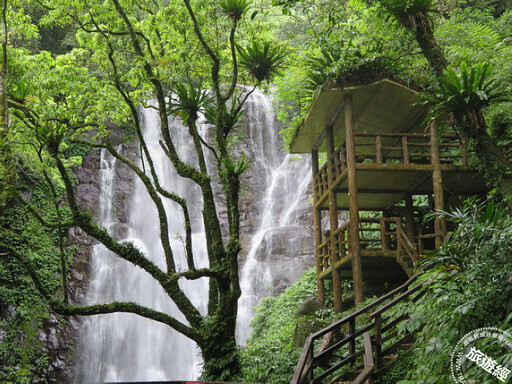 全台森林遊樂區 開園休園情況全覽 - 旅遊經