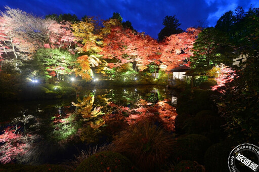 日本栃木縣秋天「燈」「楓」造極 推薦四大必遊景點 - 旅遊經