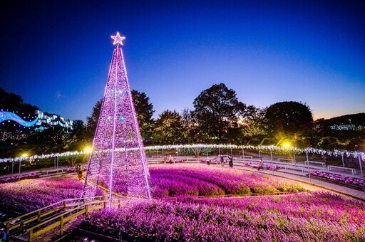 日本三大燈光秀 足利花卉公園「光之花庭園」 - 太陽網