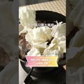 味噌豬炒高麗菜，下飯經典組合！ 日本男子的家庭料理 TASTY NOTE - TASTY NOTE