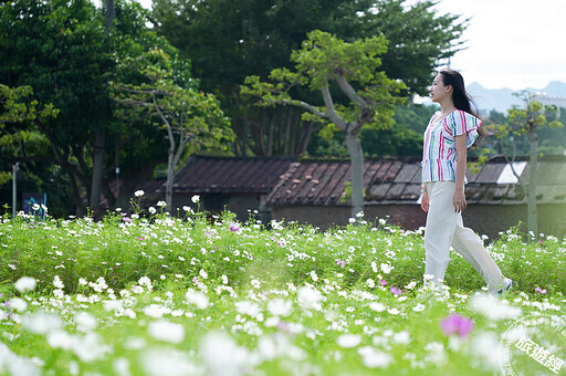 桃園大溪「花彩盛艷」展數大花海與圖騰 拍美照農遊「趣」！ - 旅遊經