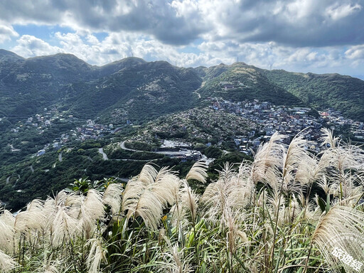 秋芒展詩意 推薦九份山城賞芒花三大景點！ - 旅遊經