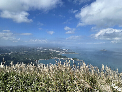 秋芒展詩意 推薦九份山城賞芒花三大景點！ - 旅遊經