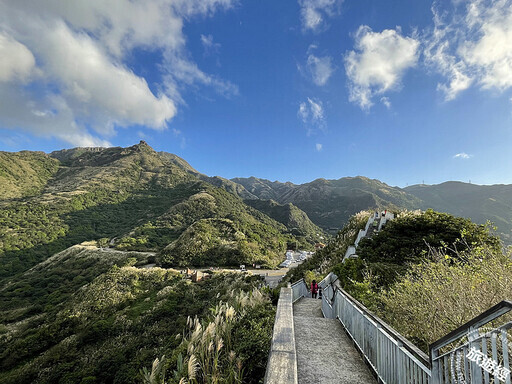 秋芒展詩意 推薦九份山城賞芒花三大景點！ - 旅遊經