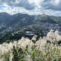 秋芒展詩意 推薦九份山城賞芒花三大景點！ - 旅遊經