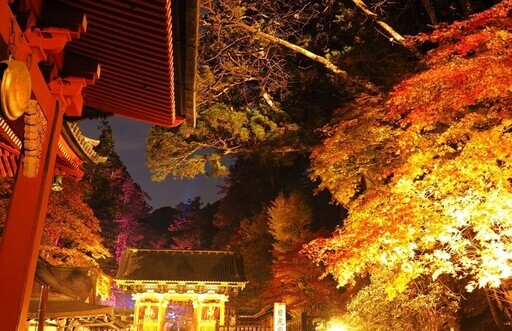 日光夜間點燈 Light up NIKKO 2024 - 太陽網