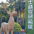 2024士林官邸菊展 15萬盆菊花爭豔，同時賞花還能逛動物園？ - 旅遊經