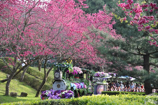 2024南投花卉嘉年華將開跑 蒐羅14場不能錯過的花卉活動 - 旅遊經