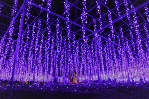 足利花卉公園「光之花庭園」 - 太陽網