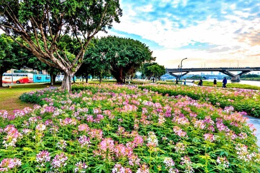 延平河濱公園「英式庭園」風格花海繽紛浪漫 - 太陽網