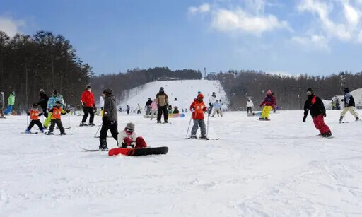 栃木之冬啟動燈海，美食溫泉雪景誘人登場 - 太陽網