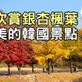 聞慶鳥嶺片廠，帶你回到朝鮮時代 - 太咪瘋韓國