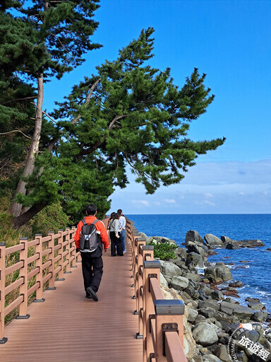 走「徑」韓國東海岸 揭開海波朗路的浪漫與深度 - 旅遊經