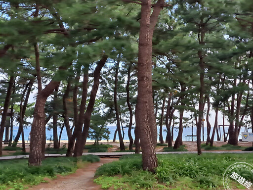 走「徑」韓國東海岸 揭開海波朗路的浪漫與深度 - 旅遊經