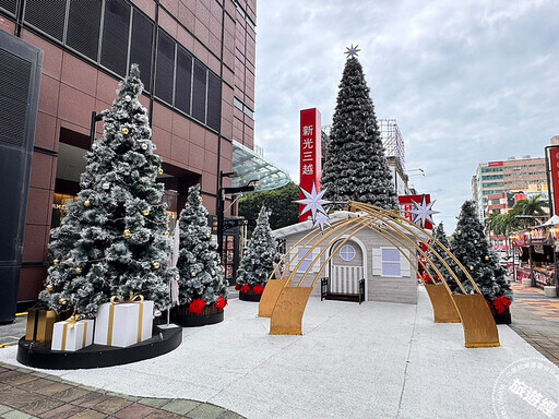 到台南享暖冬旅遊 不僅感受臺南聖誕氛圍，還能來一場濱海生態遊 - 旅遊經