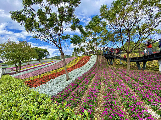 2025年臺北賞花日誌出爐 並首次公開8條台北捷運賞花地圖 - 旅遊經