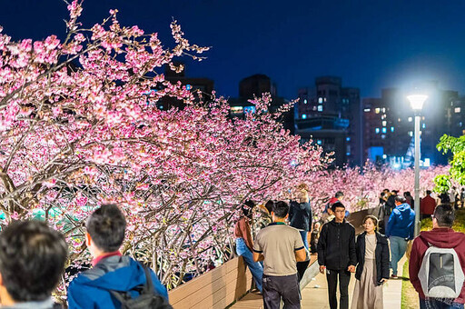 2025年臺北賞花日誌出爐 並首次公開8條台北捷運賞花地圖 - 旅遊經