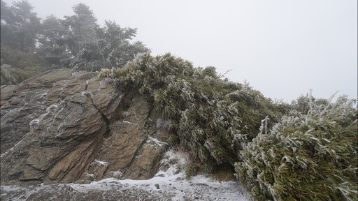 合歡山武嶺下雪實況 - 營火部落