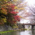 日本滋賀縣遊秘境 享獨特旅遊全攻略 - 旅遊經