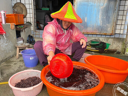 海女不是日韓才有 台灣新北市貢寮「卯澳」海女也展現女力 - 旅遊經