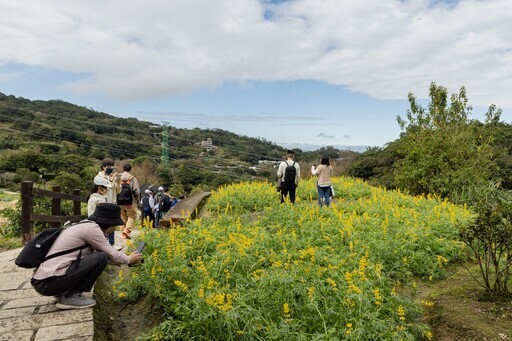 樟樹步道花海起跑活動迎新春 - 太陽網