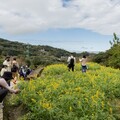 樟樹步道花海起跑活動迎新春 - 太陽網