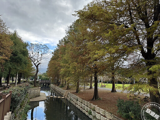 冬日「寂」美 搜羅台北12處賞落羽松公園景點── - 旅遊經