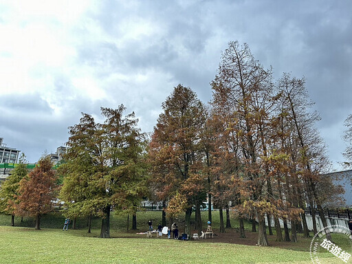 冬日「寂」美 搜羅台北12處賞落羽松公園景點── - 旅遊經