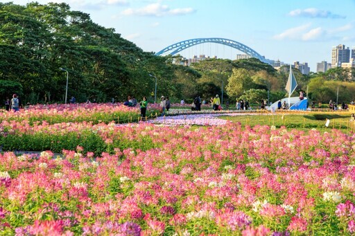 農曆春假河濱公園花海賞花走春!! - 太陽網