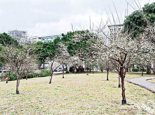 台北賞梅「趣」 台北十大賞梅景點推薦 - 旅遊經