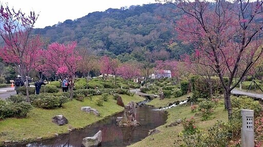 2025陽明山花季 讓愛在心中綻放 - 太陽網