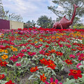 彰化走春─南花北燈真「遊」趣 2025「花在彰化」年初一在溪州公園登場 - 旅遊經