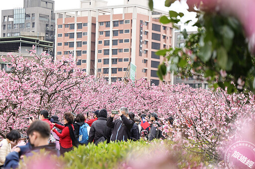 「陽明」春曉 六大走春賞花景點邀您走「花」路！ - 旅遊經