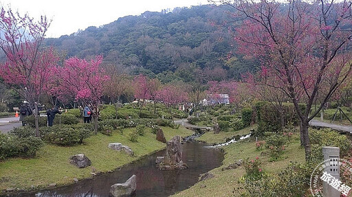 「陽明」春曉 六大走春賞花景點邀您走「花」路！ - 旅遊經