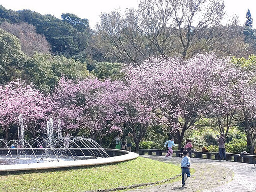 陽明山花季今(24)日開跑 迪士尼公主共譜浪漫春日童話 - 旅遊經