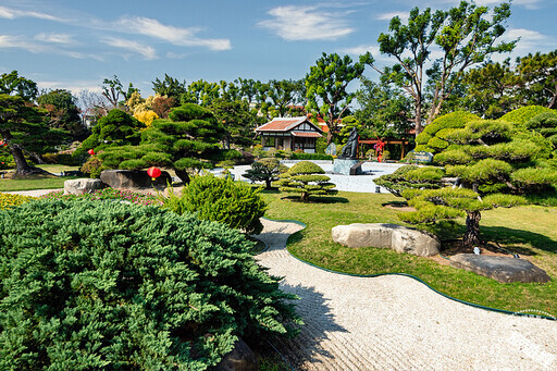 古色古香增年味，中台灣走春推薦 成美文化園──落羽松換裝大秀+熱鬧春節活動超加分 - 旅遊經