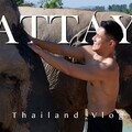 到芭達雅和大象洗澡 真理聖殿米其林餐廳2025 新年泰國之旅 Ep.1 - 豪の島